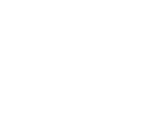 Pitbull Interactive Logo